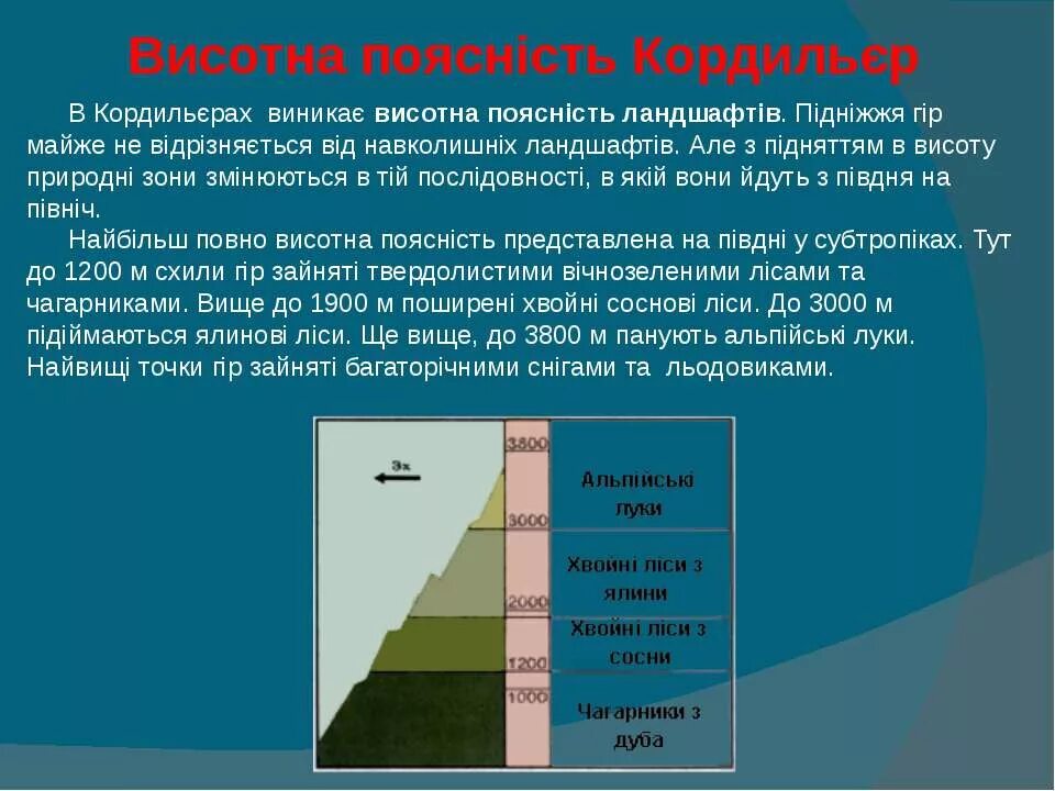 В каких широтах анд больше высотных поясов