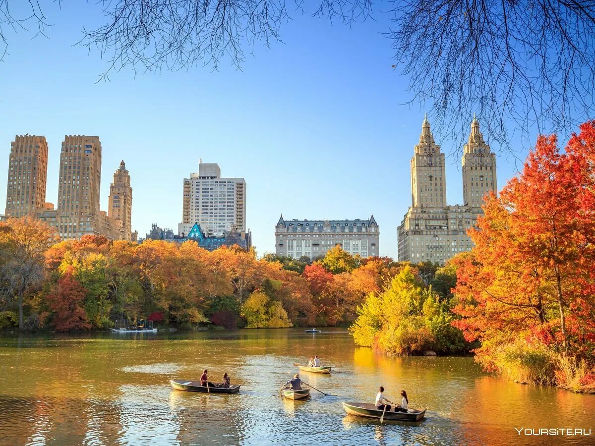 Парки в америке в городе. Централ парк Нью-Йорк. Осень в Нью-Йорке Центральный парк. Осенний Нью-Йорк централ парк. Центральный парк Нью-Йорк осенью.