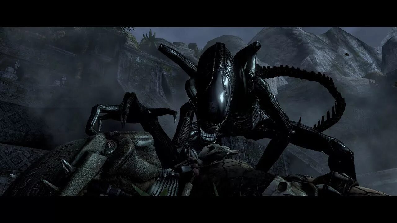 Видео чужой против чужого. Aliens vs Predator 3. Aliens versus Predator 3.