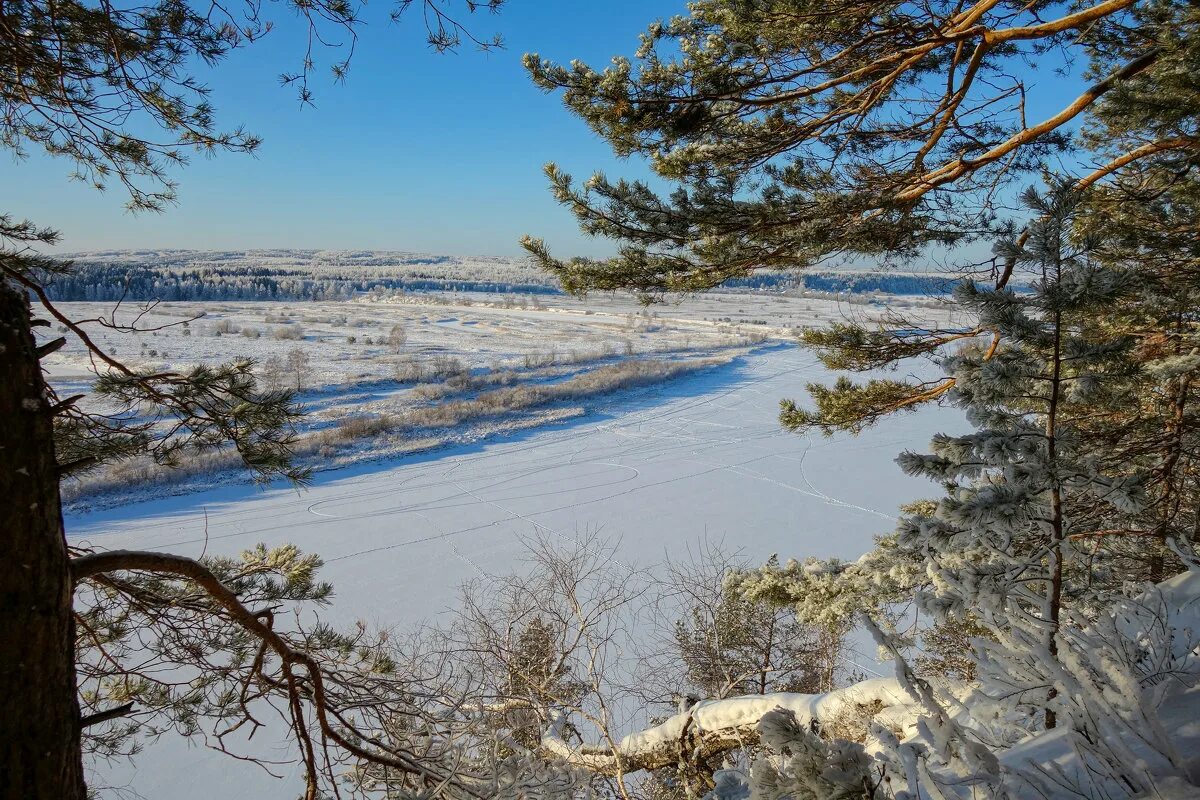 Кедры на сылве пермь. Сылва молебка. Кедры на сылве пермь. Заказник предуралье пермский край ермак. Гора ермак кунгур.