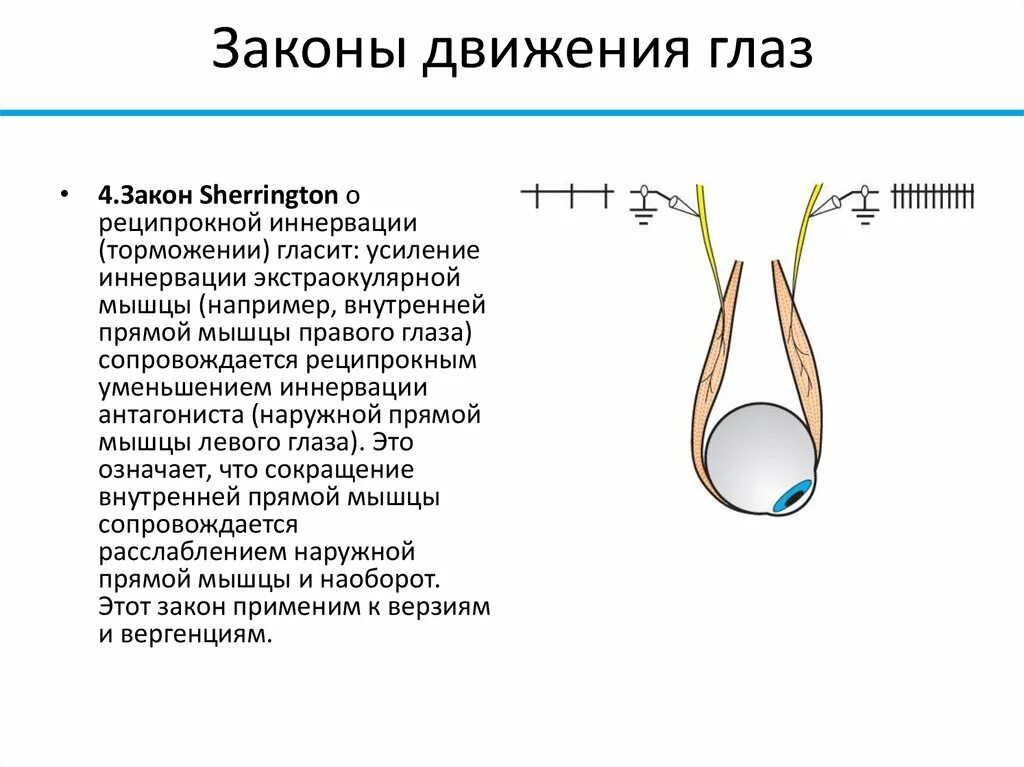 Глаз закона. Аппарат движения глаза. Закон Шеррингтона. Законы движения глаз. Принцип реципрокности Шеррингтона.