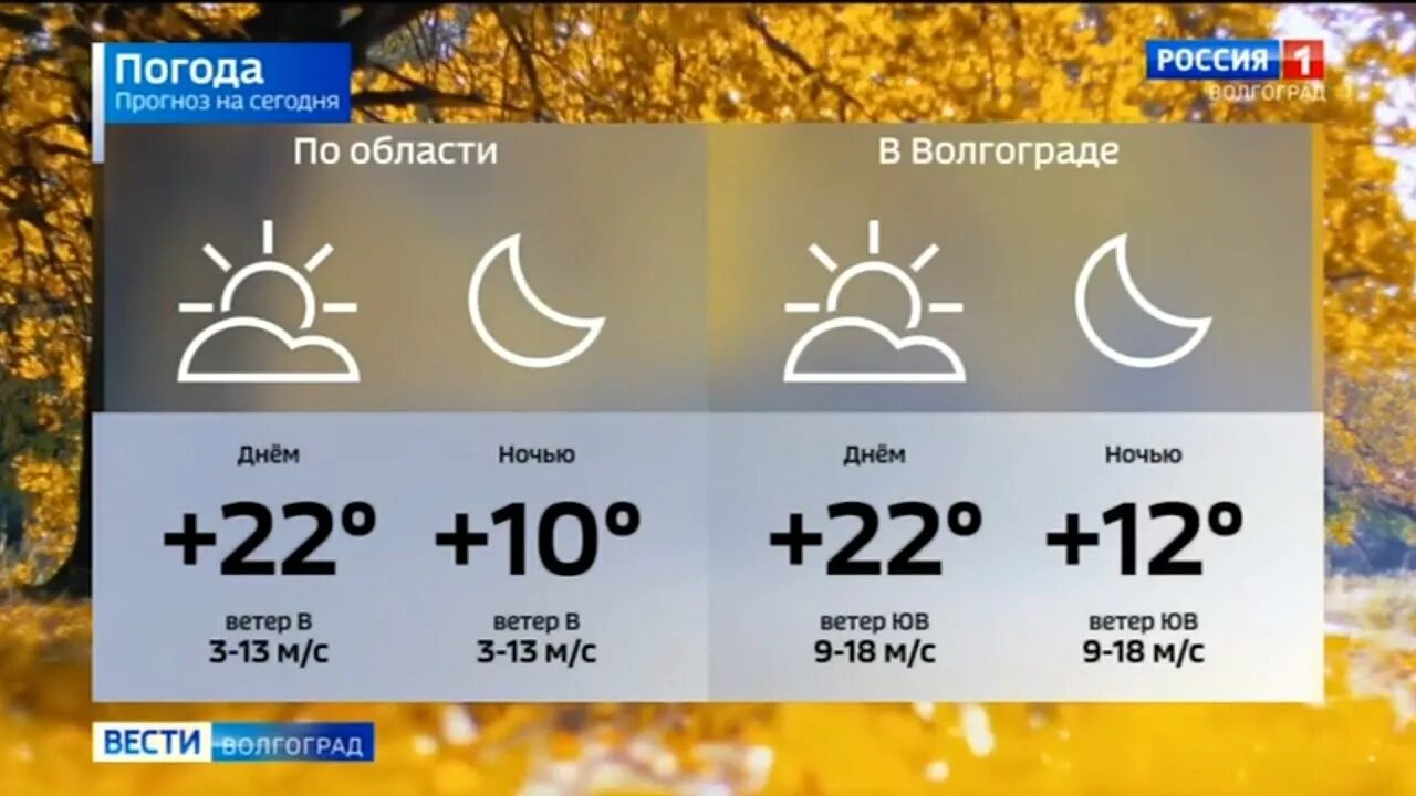 Погода в волгограде на 10 дней. Прогноз погоды в Волгограде. Погода в Волгограде. Волгоград погода сегодня сейчас. Погода в Волгограде на завтра.