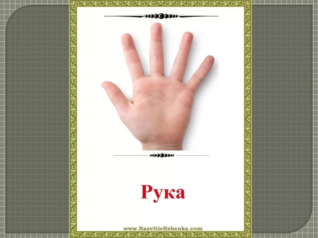 Рука плечо грудь. Картинка слово руки. Мое слово рука. Слова про доверие. Что означают символы руками.
