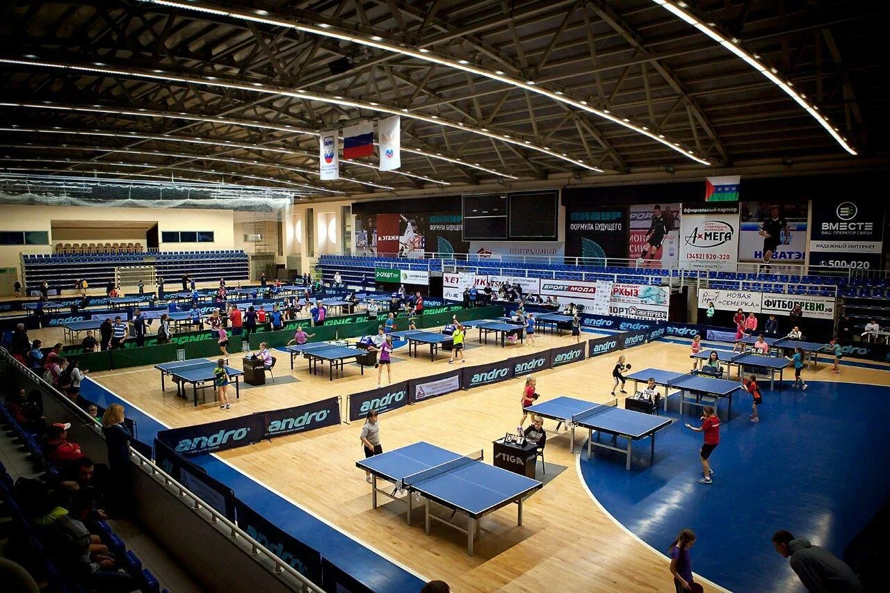 Арена тюмень спорткомплекс. Центр спорта тюмень. Арена зал дзюдо. Стадион тюмень арена. Спорткомплекс центральный тюмень.