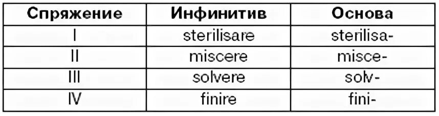 Спряжение глаголов в латинском языке. Спряжение глаголов в латинском языке