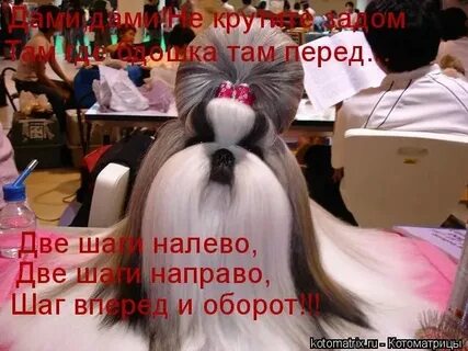 Песня не крутите задом