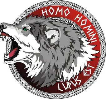 Волк на латыни