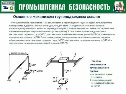 Механизмы обеспечивающие приспособление