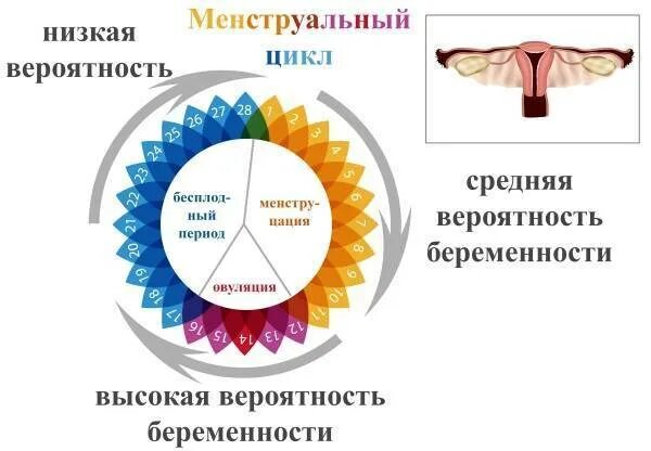 Какой шанс забеременеть с первого. Вероятность забеременеть цикл. Высокая вероятность забеременеть. Дни вероятность забеременеть. Риск забеременеть по дням цикла.