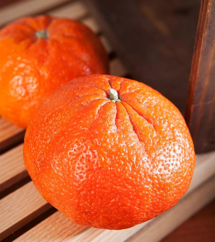 Мандарины клементины марокко. Мандарины без косточек. Мандарин в р п. Пекинский мандарин. Мандарин клеопатра.