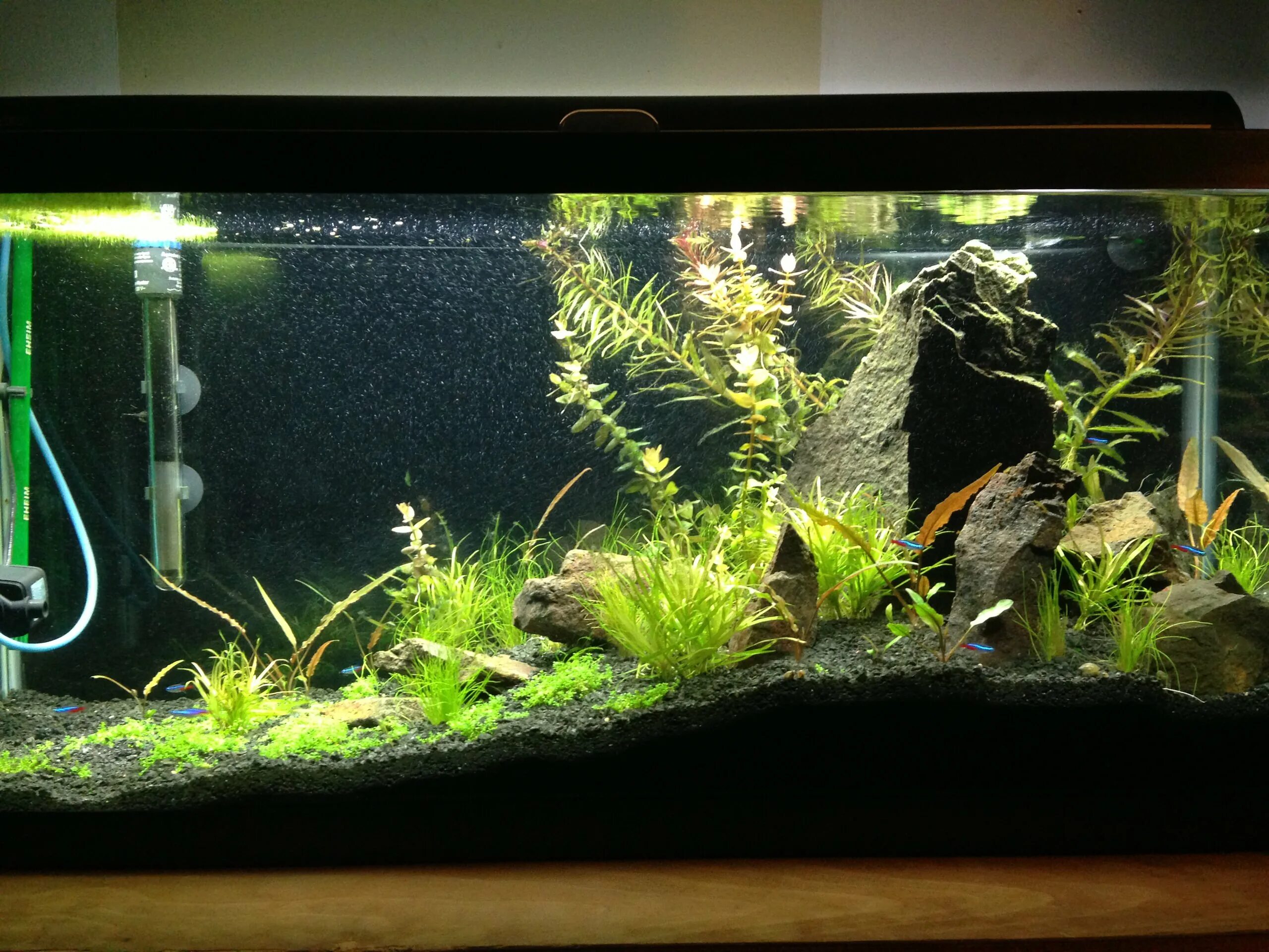 Интересные аквариумы. Аквариум в детском саду. Готовые решения оформления аквариума. Акваскейп хардскейп. Оформление аквариума.