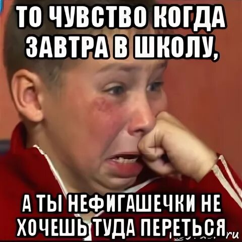 Идти завтра в школу или нет. Завтра в школу. завтра в школу приколы. не хочу в школу. завтра в школу шутки.