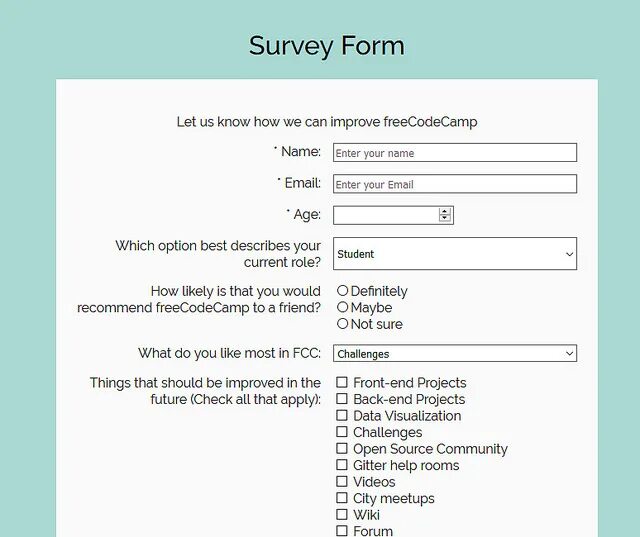 Survey examples. Survey form. формы слова survey. freecodecamp survey form. survey form ideas.