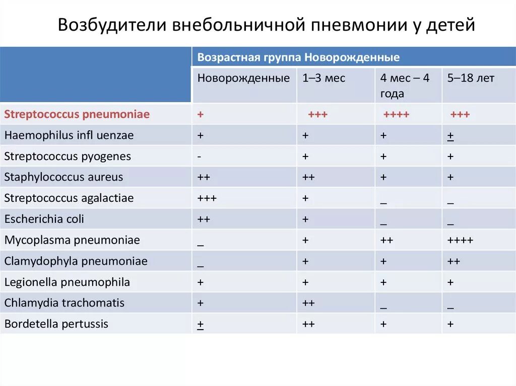 Какие возбудители вызывают пневмонию. Внебольничная типичная пневмония дети. Возбудители внебольничной пневмонии у детей. Вощьудители анебротничной пневмоеии. Основные возбудители внебольничной пневмонии у детей.