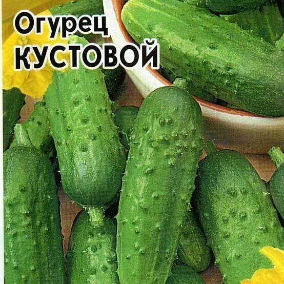 Кустовой огурец для открытого сорта. Семена огурец кустовой. семена огурцов кустовые. огурец изумрудные сережки гавриш. огурец скороспелый гавриш.