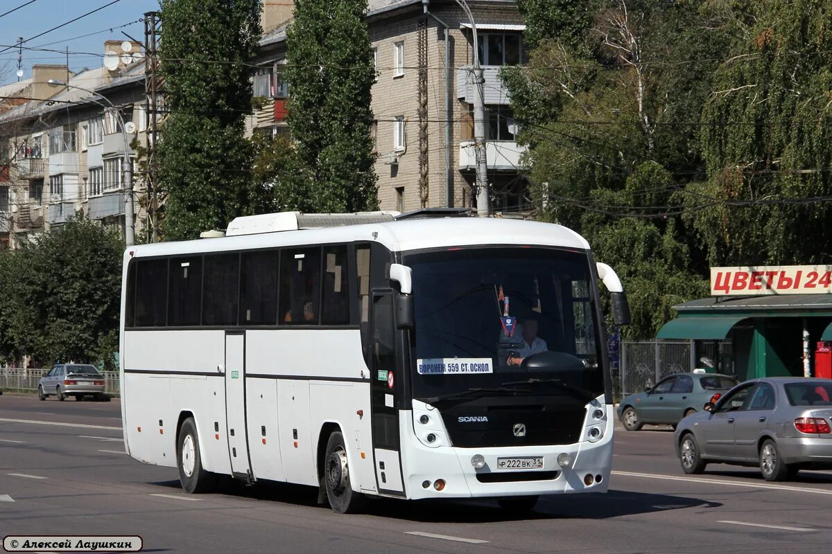 Ростов старый оскол автобус. ГОЛАЗ 529112. Автобус старый Оскол. Автобус старый Оскол Воронеж. Заднее крыло ГОЛАЗ 529112.