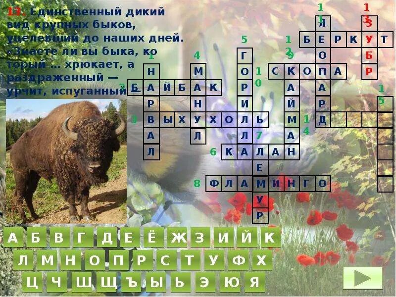 Кроссворд виды животных. Кроссворд на тему животные. кроссворд красная книга. кроссворд на тему животные и растения. кроссворд про животных и растений.