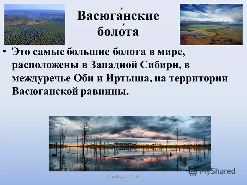 Болота западно сибирская. Васюганское болото местоположение. Карта Сибири Васюганское болото. Васюганские болота заповедник на карте. Васюганские болота, Сибирь.