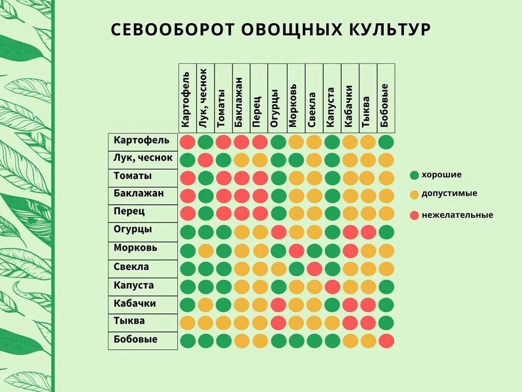 После каких растений можно сажать. Севооборот овощных культур на дачном участке таблица. Посадка овощей предшественники таблица. Севооборот овощей в огороде таблица планирование посадки огорода. Таблица чередования посевов овощей в огороде.