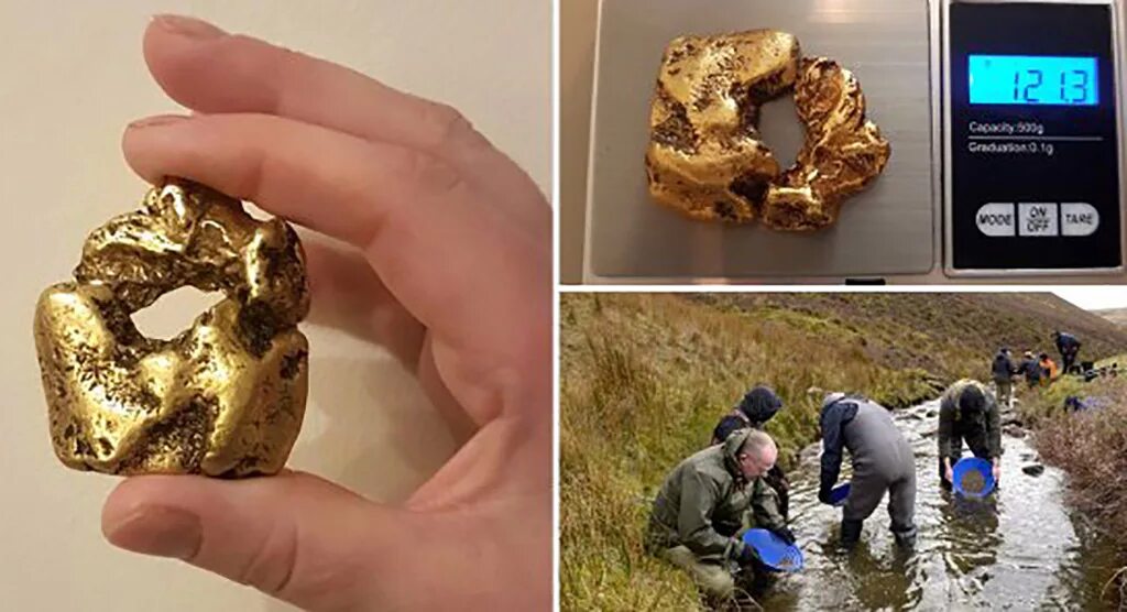 нашел самородок золота. самородок посейдон золотой. золотая лихорадка в австралии самородок. нашел самородок золота. самородное золото.