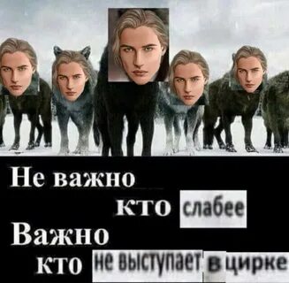 Не важно кто победит