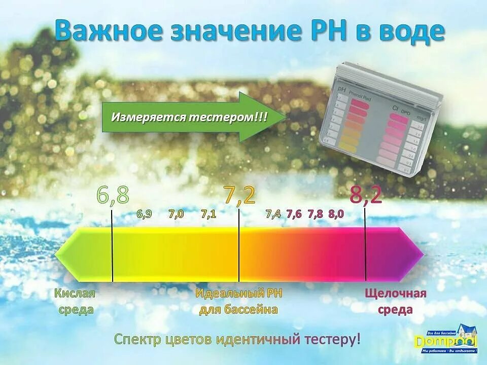 Как получить щелочную воду. Шкала кислотности PH воды. Водородный показатель питьевой воды. Таблица жесткости воды PH. Кислотность воды норма.