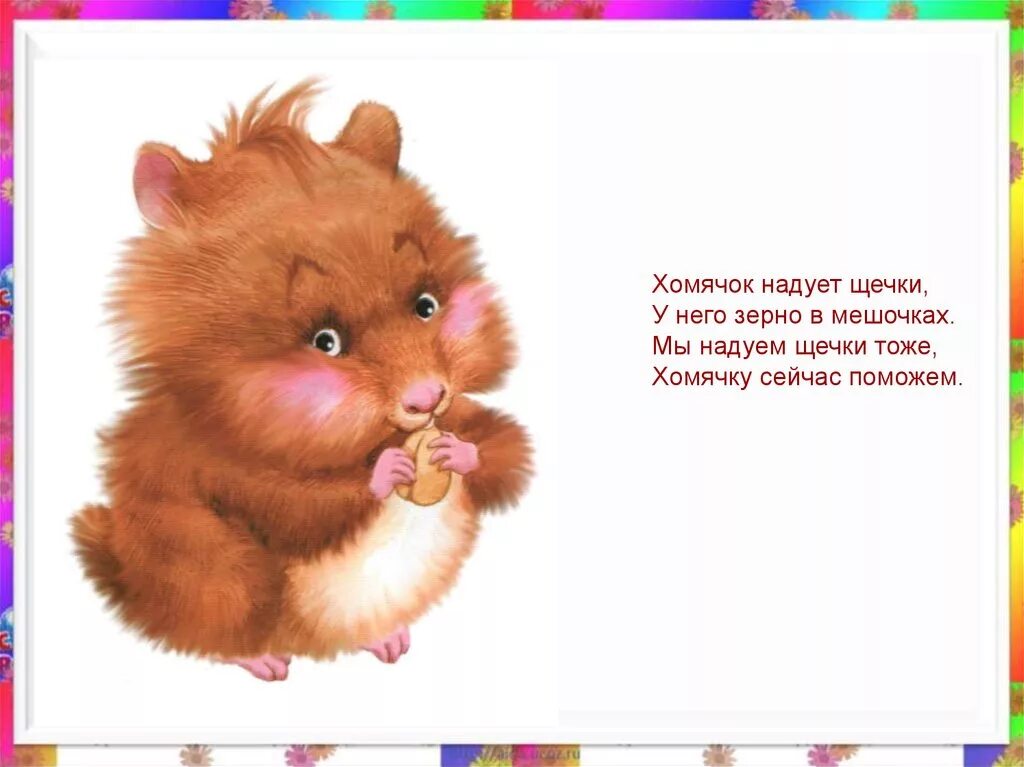 Упражнение хомячок. Упражнение хомячок артикуляционная гимнастика. Упражнение хомячок. Упражнение хомячок артикуляционная гимнастика. Артикуляционная гимнастика хомяк.