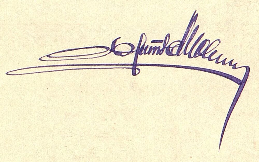 Щадов михаил иванович подпись. Подпись сорокина. Подпись прокурора фото. Старинные подписи красивые. Подпись николая 2.