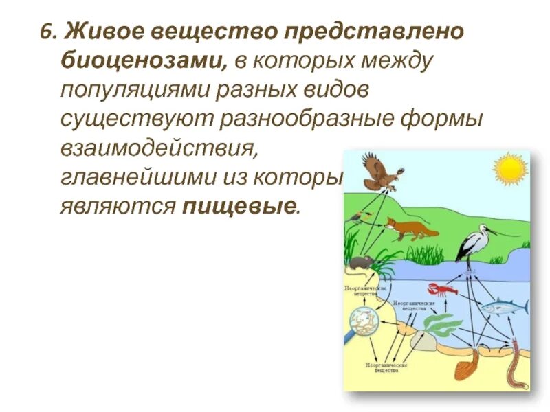 1 биоценозом называют. Биоценоз. Сообщество биоценоз. Биоценоз рисунок. Биоценоз это сообщество организмов.