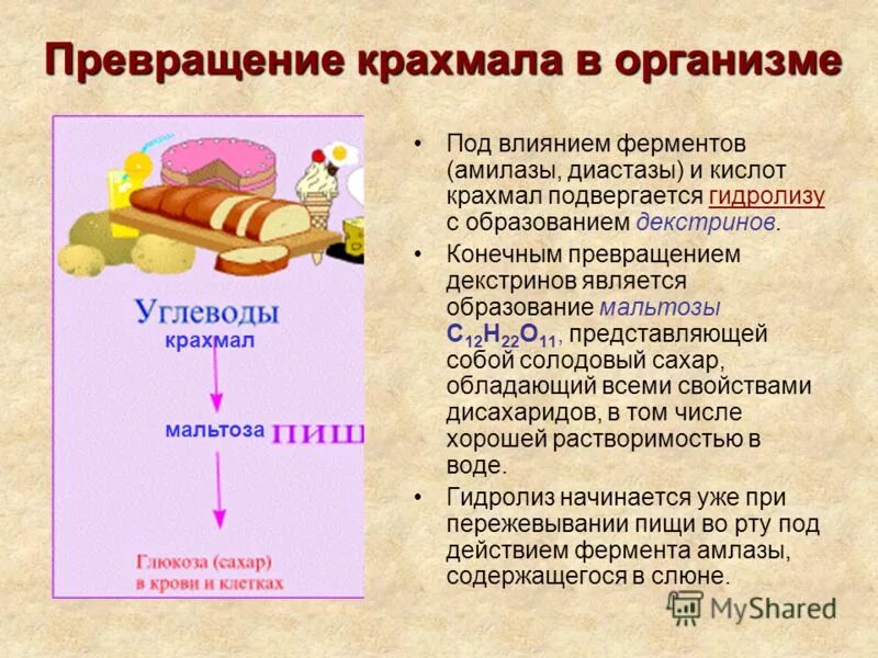 процесс расщепления углеводов под действием ферментов