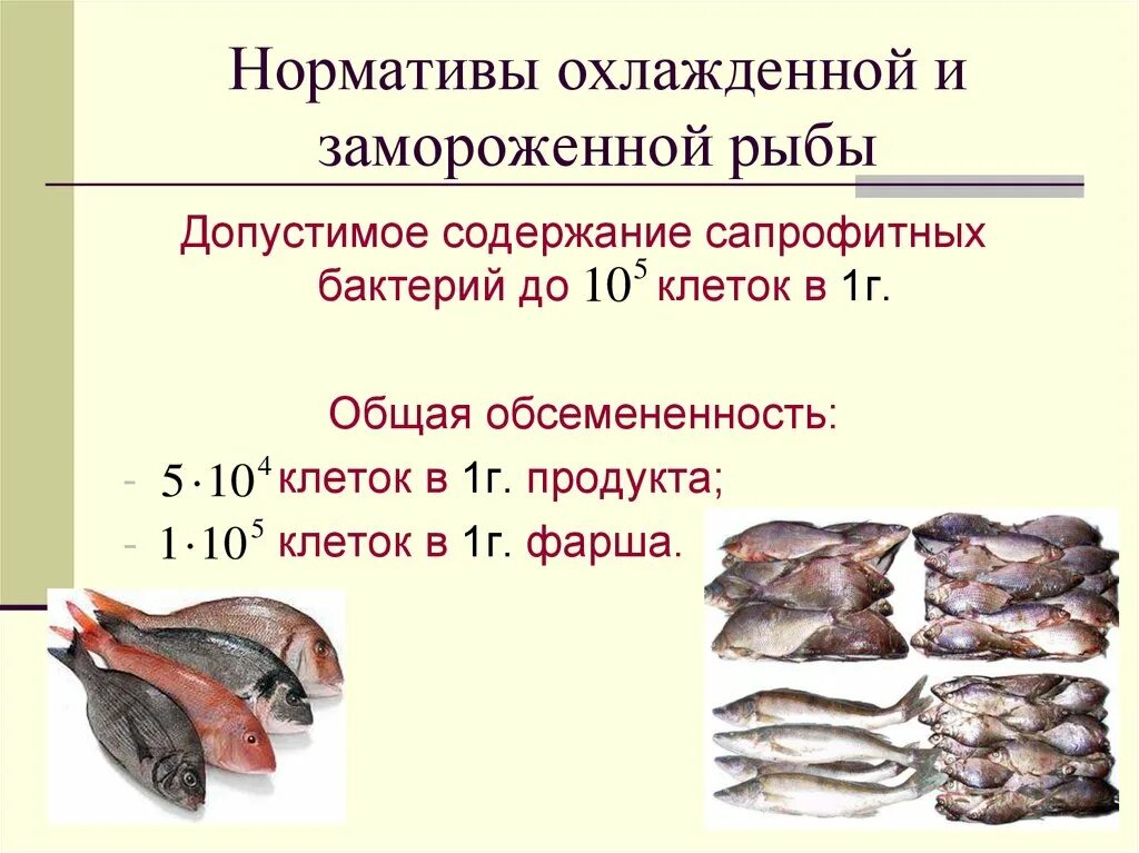 Качество мороженой рыбы. Микрофлора рыбы и рыбных продуктов. Микробиология рыбы и рыбных товаров. Микробиологическое исследование рыбы и рыбной продукции. Микробиологические методы исследования качества рыбы.