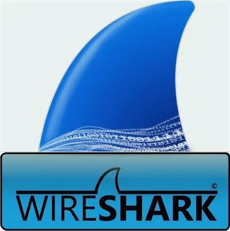 Wireshark. Wireshark logo. Wireshark PNG. Wireshark / tshark логотип. Wireshark download