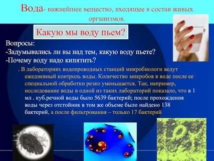 Вода входит в состав всех живых существ