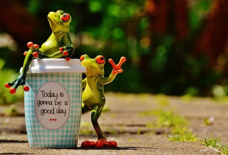 Картинки лягушки доброе утро прикольные Today is gonna be a good day!" #InternationalCoffeeDay #Coffee #Sunday
