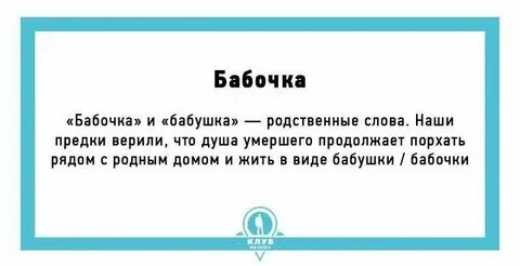 Портфолио происхождение слова