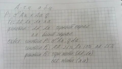 От скрещивания самцов морских свинок