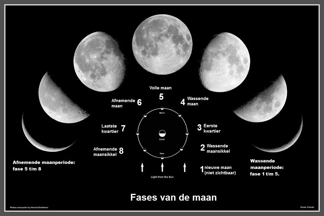 La luna falsa на русском. Фазы Луны. Стадии Луны. Фазы Луны астрономия. Цикл лунных фаз.