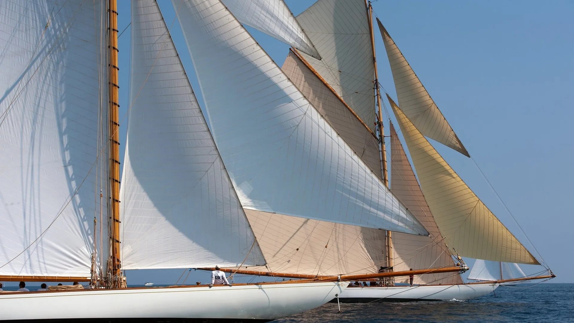 Sail color. Sail color