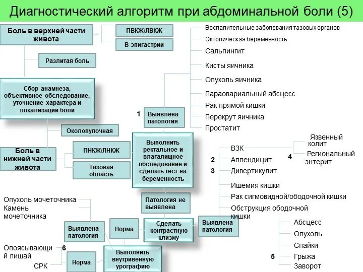 Обследование при болях в животе. Алгоритм диагностики и лечения абдоминальной боли. Алгоритм оказания неотложной помощи при острой абдоминальной боли. Алгоритм диагностики острого живота. Синдром «острый живот». Алгоритм диагностики.