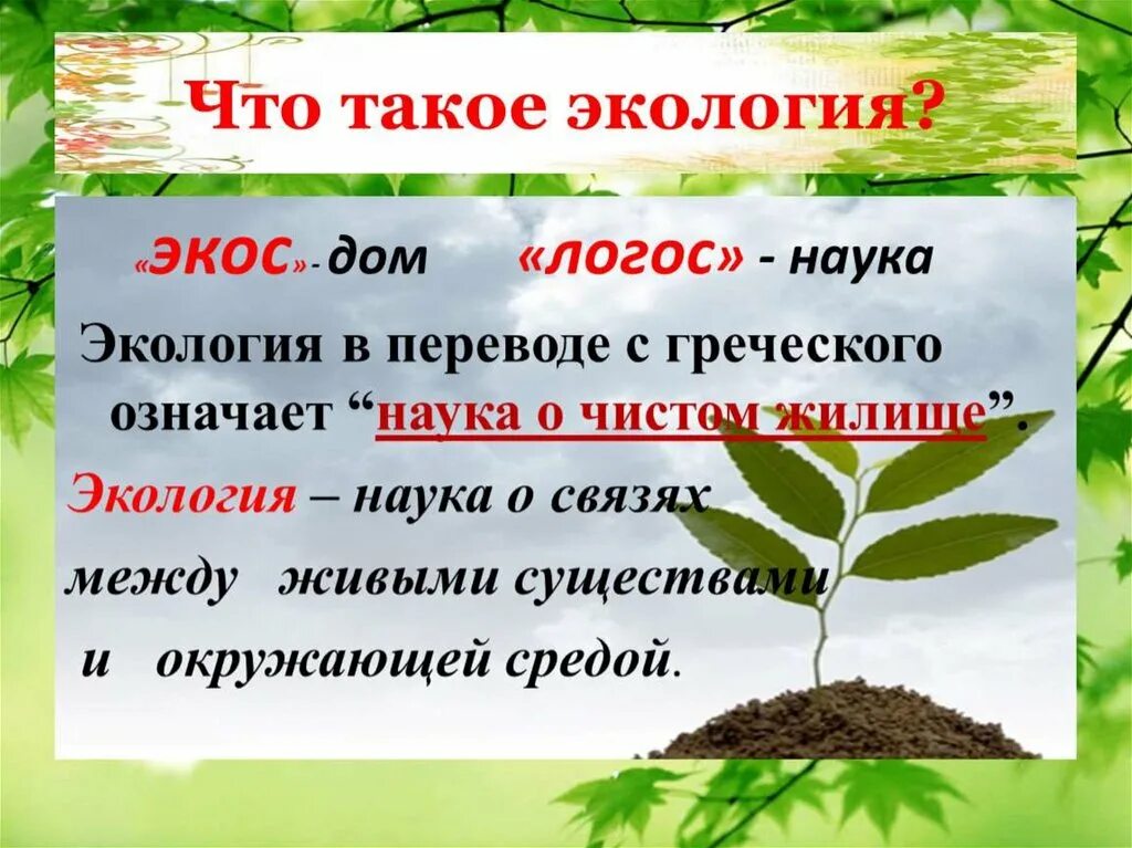 Урок экология 3 класс школа россии. Экология. Эко. Энология. Экология это для детей кратко.