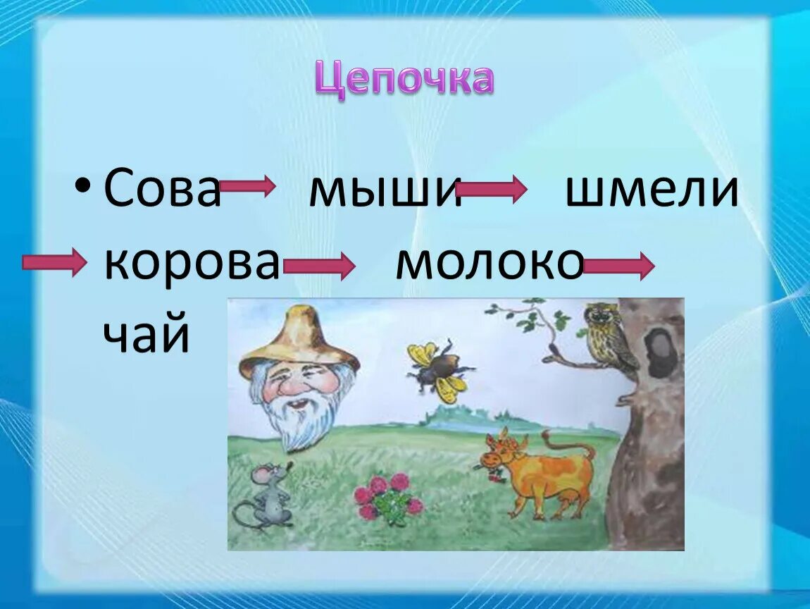 Цепь питания филина