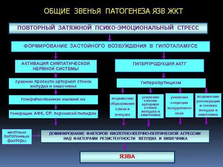 Патогенез язвы желудка патофизиология. Патогенез язвенной болезни желудка схема. Факторы патогенеза язвенной болезни желудка. Основные звенья патогенеза язвенной болезни. Общая этиология общий патогенез