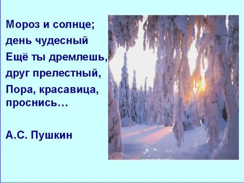 Мороз и солнце презентация. Зимние стихи. Стихи про зиму. Стихи Пушкина о зиме. Стихотворение Пушкина про зиму.