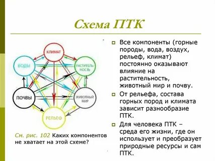 Примеры взаимосвязи компонентов природы