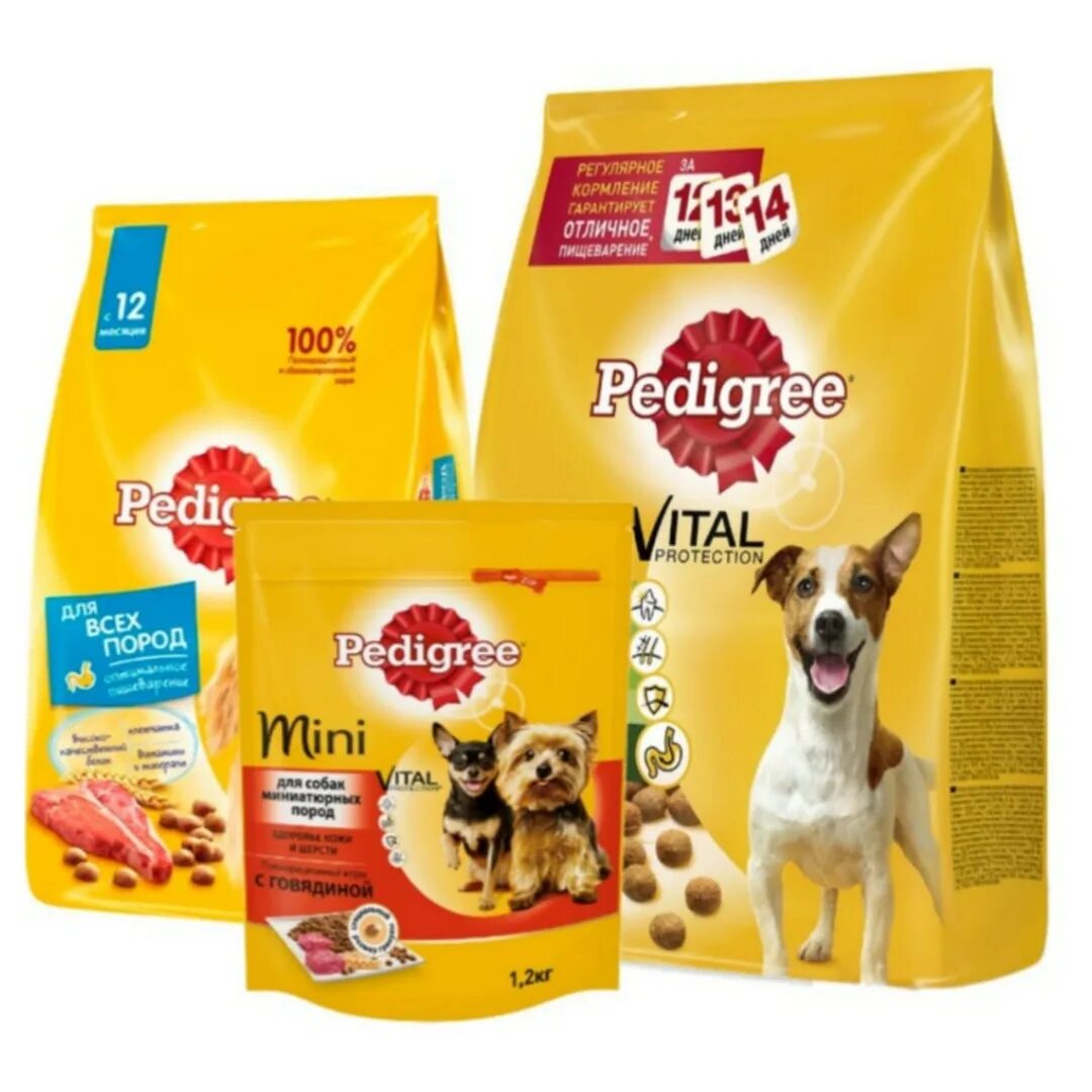 Корм для собак pedigree. Педигри корм для собак 2.2 кг для мелких пород. Корм Педигри для собак средних пород. Сухой корм мини Педигри для щенков. Педигри для собак 13 кг.