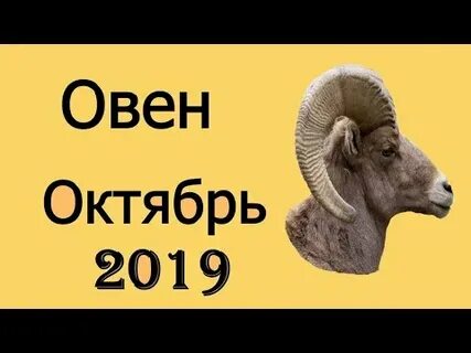 4 октября овен