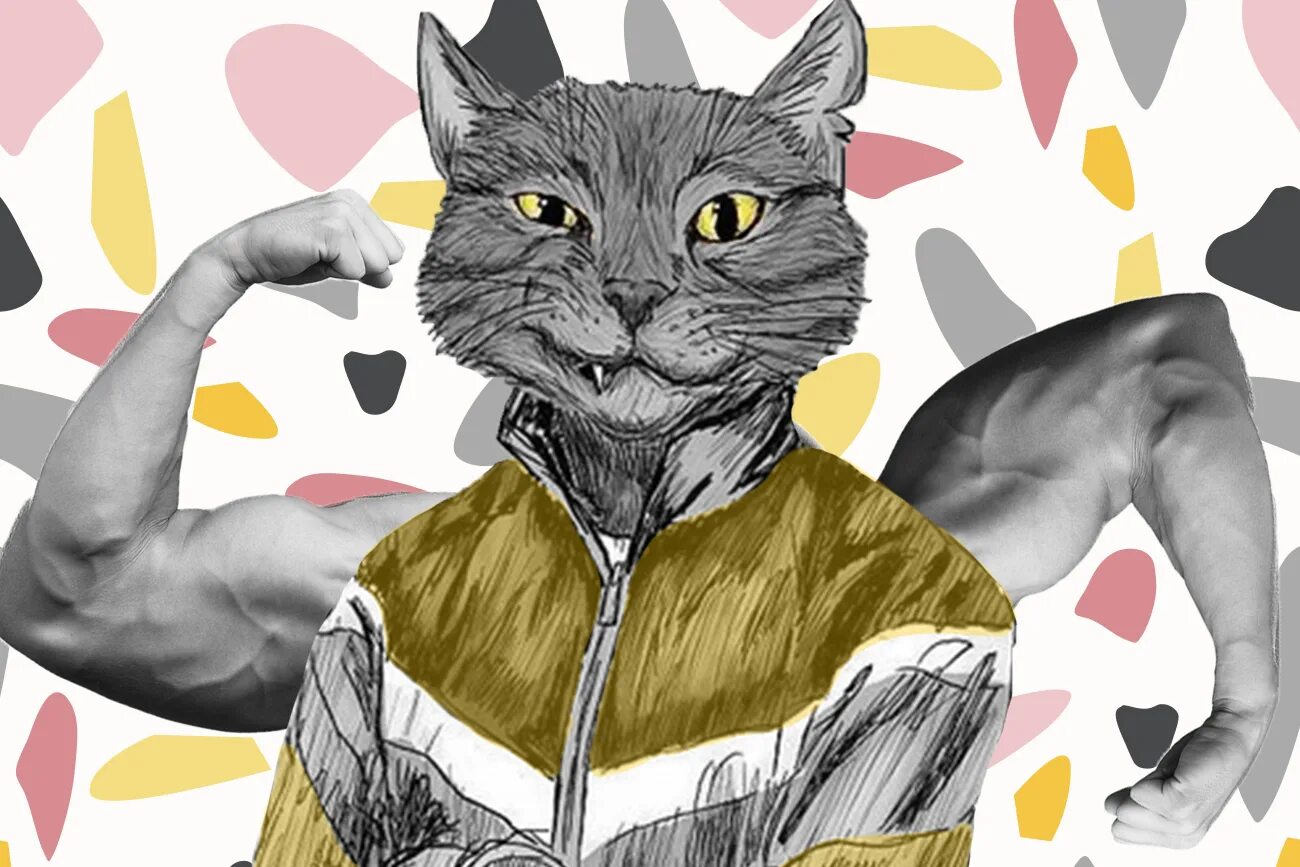 Кошка качается