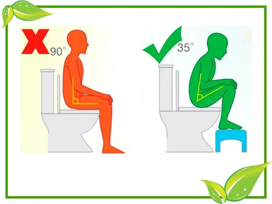 Пить воду стоя или сидя. Правильная поза для туалета. Правильная поза для туалета по большому. Правильная поза для дефекации. Правильная поза на унитазе при запоре.