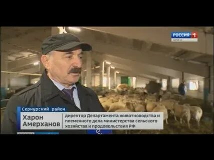 Департамент животноводства и племенного дела минсельхоза