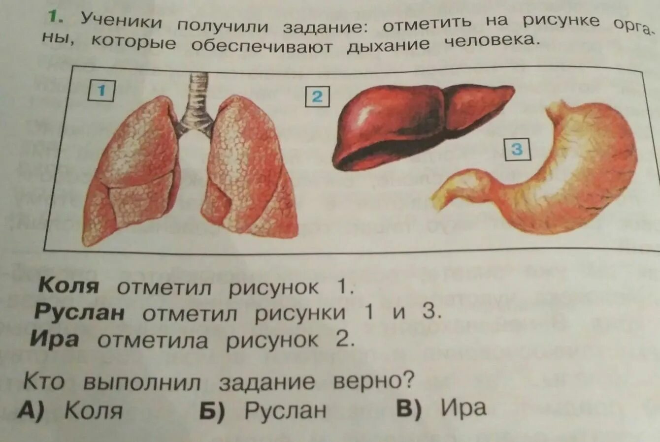 Задание отметить на рисунке. Орган рисунок для 1 класса. Как отметили? Рисунок. Человек дыхание человека задания для детей. В группах которые получают задание